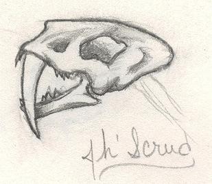 Smilod Skull for jh'Scrud
