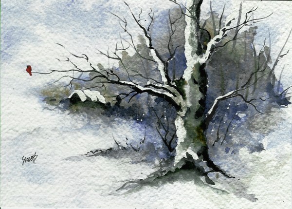 Shellys Tree