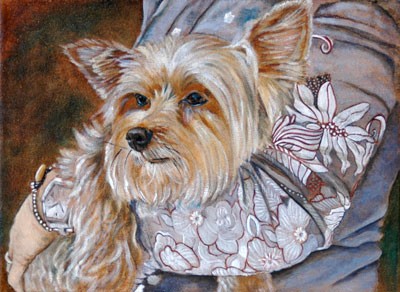 Killer the Yorkie