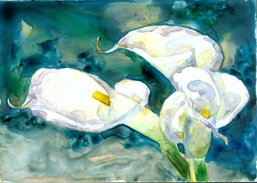 Calla Lilies on Blue