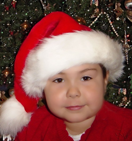 christmas portrait
