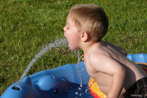 Fountain of Youth