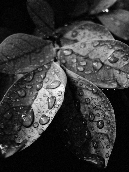 After The Rain