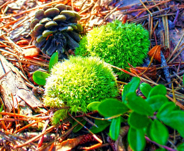 New Life...Tomorrow and Today  in New Jersey