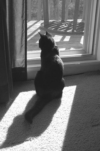 Mr. Bond day-dreaming