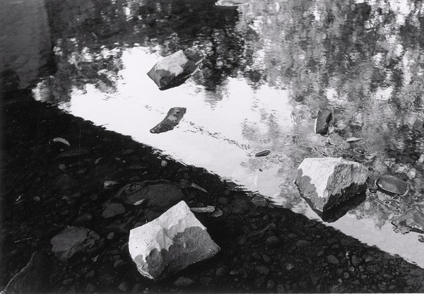 Shadow and Reflection