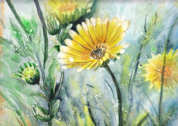 A taste of honey