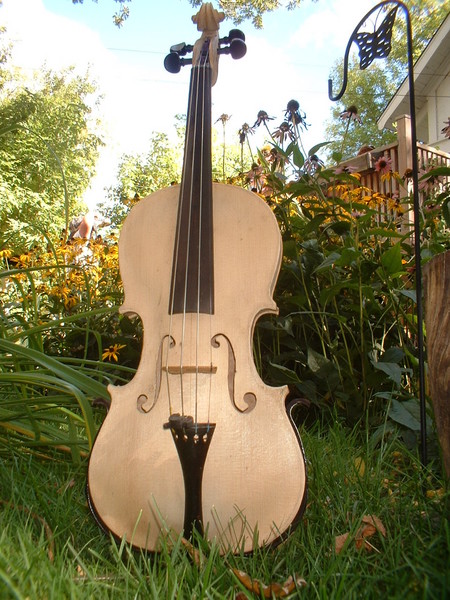 Violin