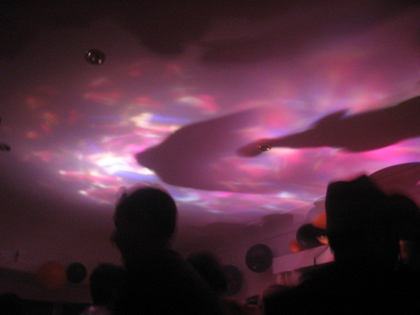 shadows on the ceiling
