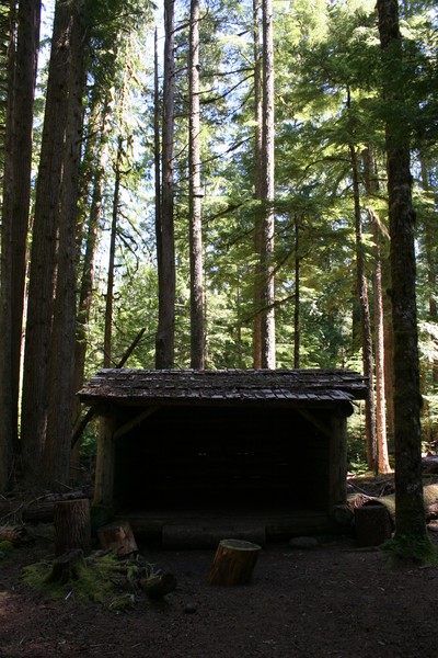 The Shelter #2