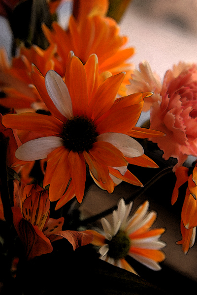 Yesterday's Daisies