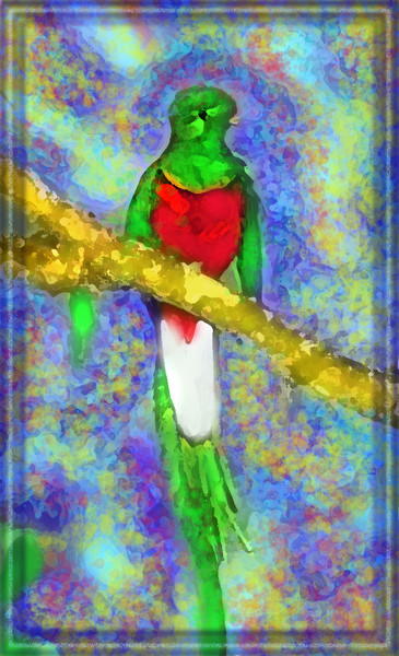 THE RESPLENDENT QUETZAL digital image by M. Forbus