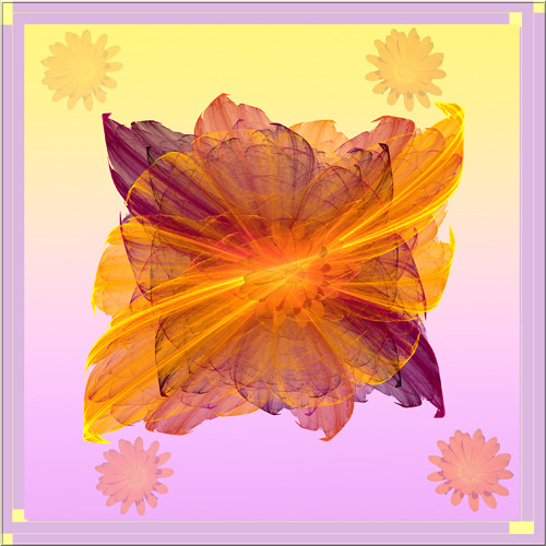 Water Lily