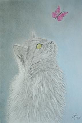 Cat and butterfly
