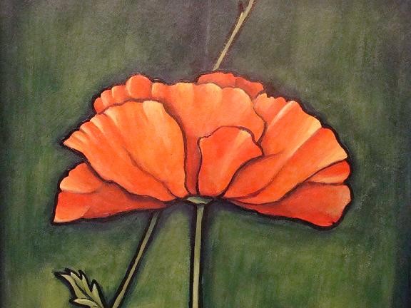 Detail Orange Flower