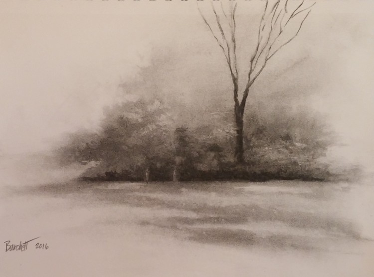 Meadows Edge at Morning
