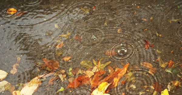 rain rain
