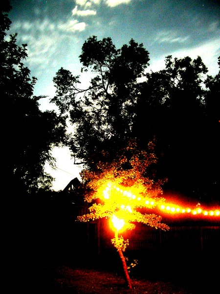 iowa nights