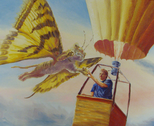 tiger-fly