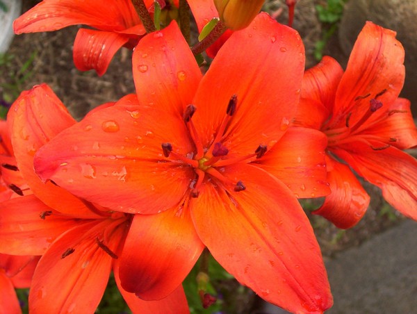 Seeing Red
