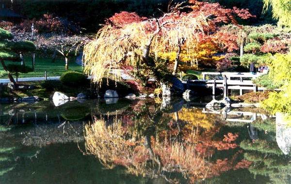 Glorious Reflections