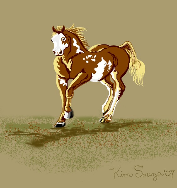 Paint Horse