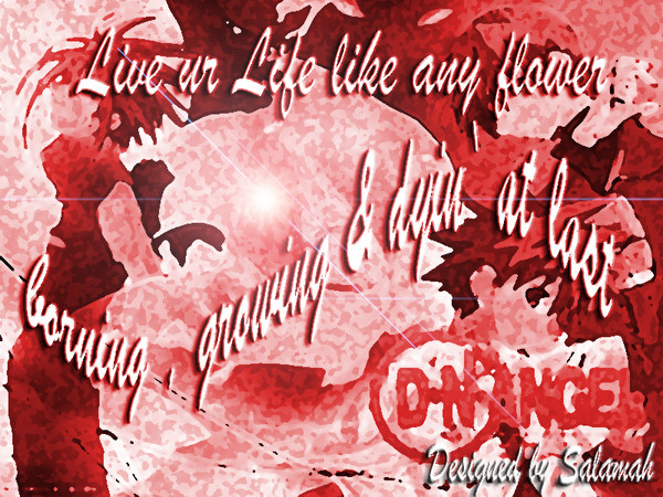 The Red Life