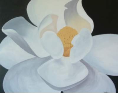 Magnolia