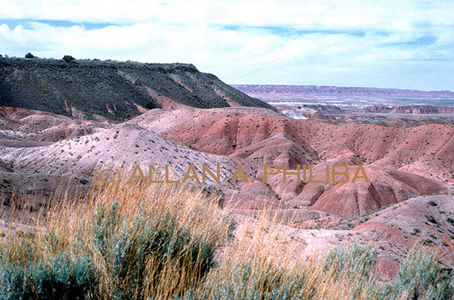 Painted Desert