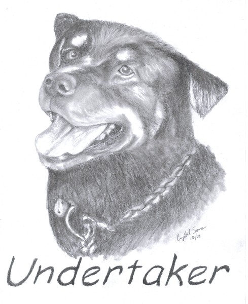 Undertaker
