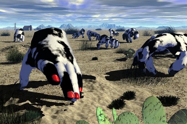 heard of cowhands?