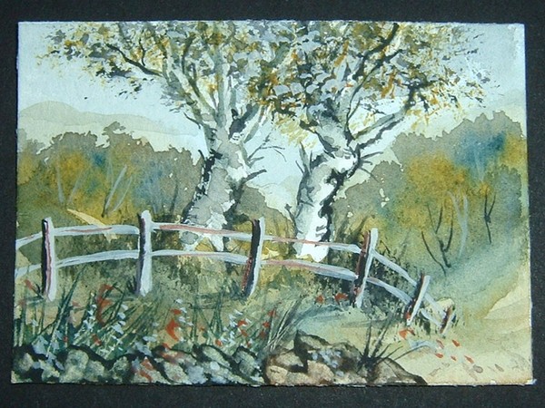 country landscape
