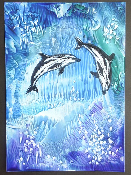 dolphins