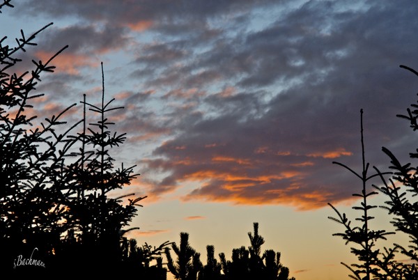  Christmas like sky !
