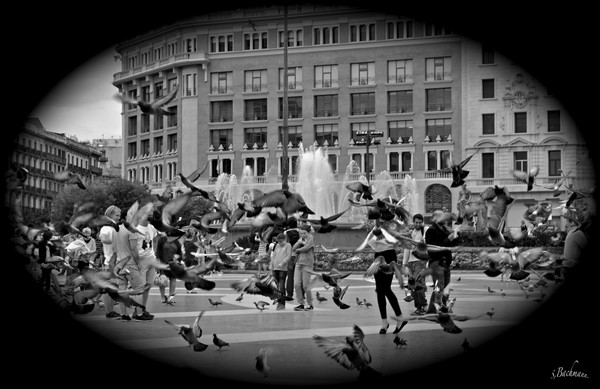   Hitchcock chaos in Spain ....