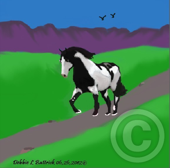 My Horse