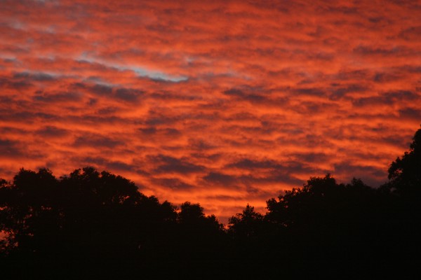 Kauai In The Morning