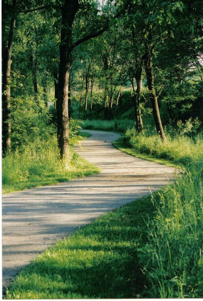Follow the Trail