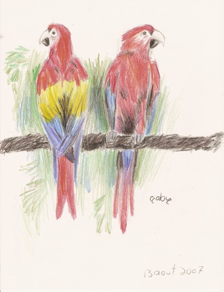 bird