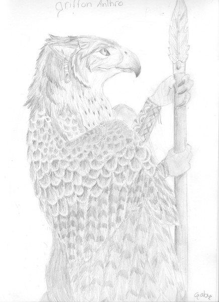 griffon anthro