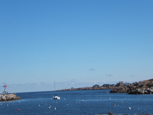 Staring at the Sea
