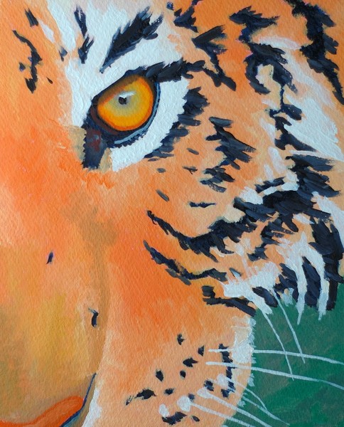 Tiger Eye