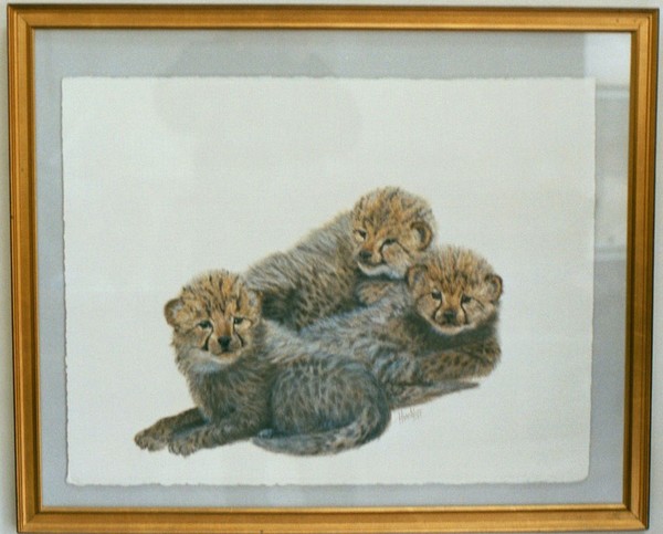 Cheetah Kittens