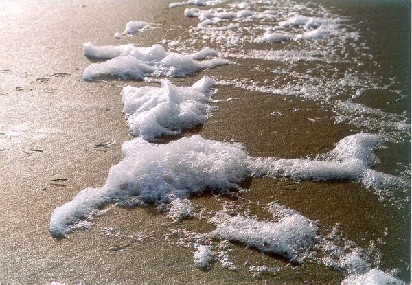 Seasand White