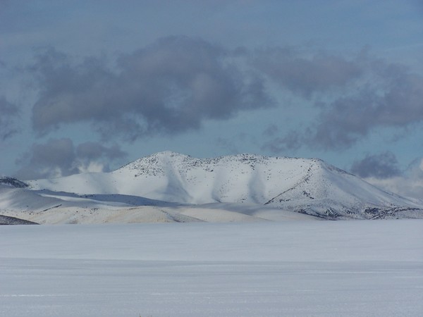 Winter Solitude