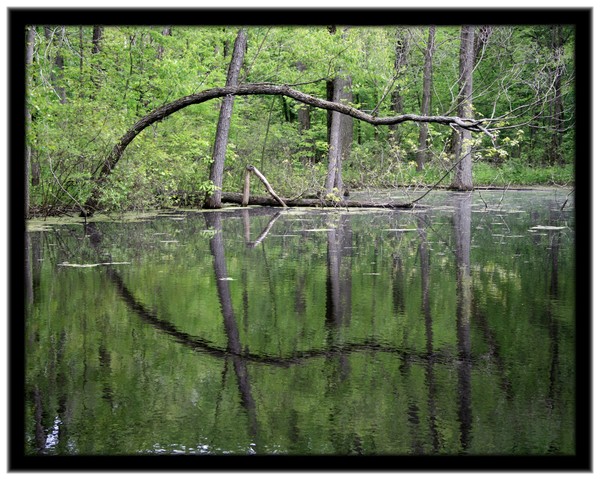 Reflections