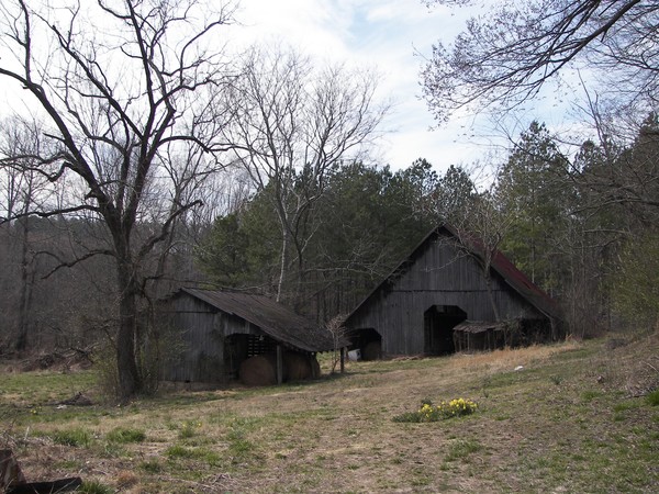barn in the spring