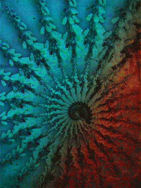 Presense (moving image(GIF)