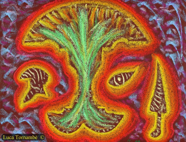 NATURA COSMICA
