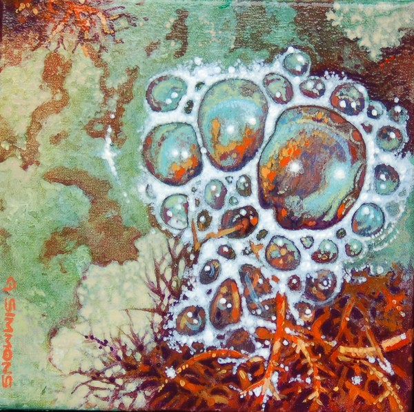 NEW TIDE POOL  (SOLD)